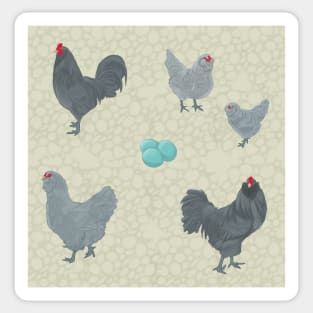 Blue Ameraucana Pattern Creme Sticker